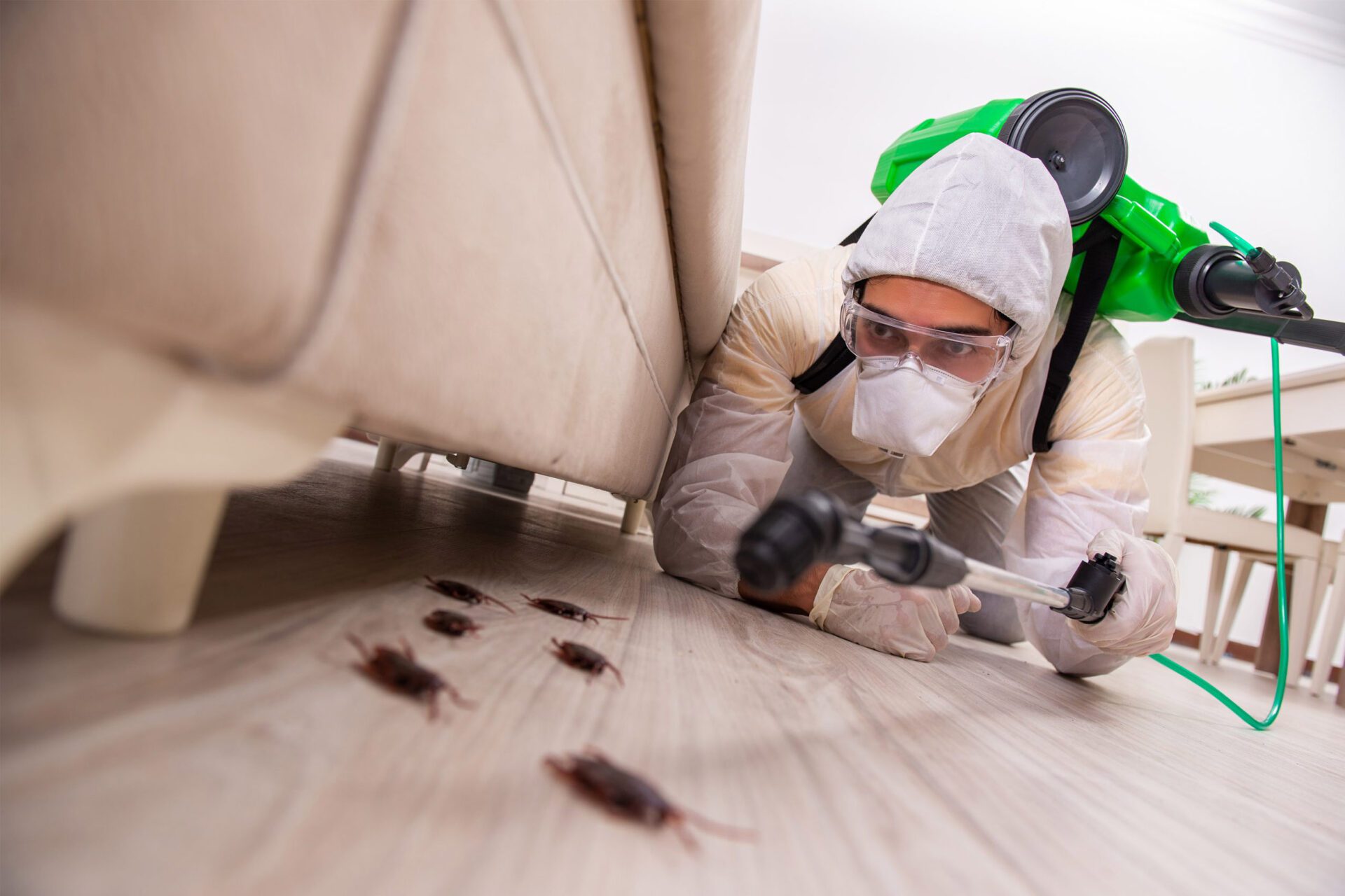 Our-story-pest-control Our-story-pest-control